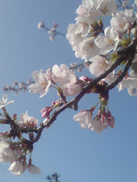 c0128199_2052170.jpg