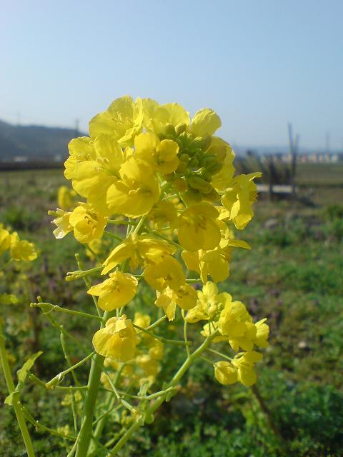 c0128199_207382.jpg