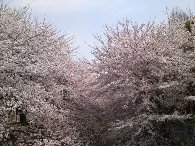 a0031000_18492063.jpg