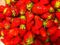 d0181000_18382616.jpg