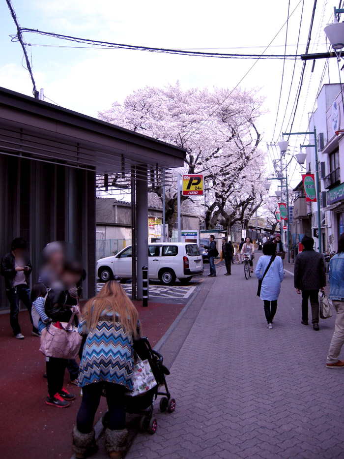 c0123202_153485.jpg