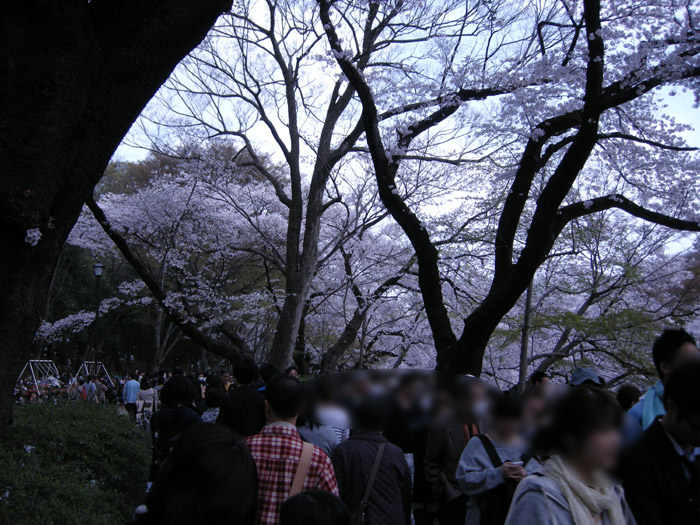 c0123202_155163.jpg