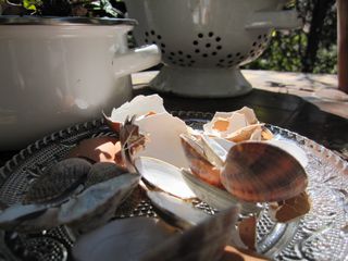 c0152002_1045812.jpg