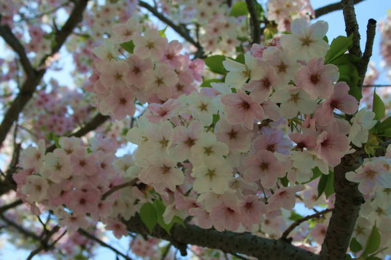 f0031304_5582040.jpg