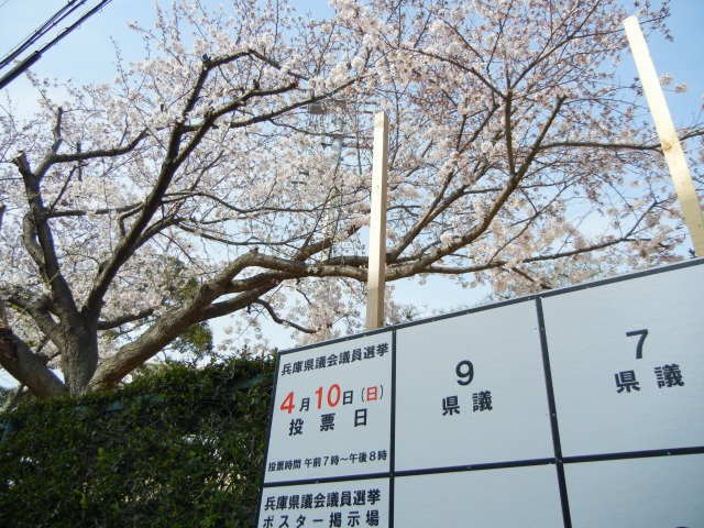 b0187505_13234389.jpg