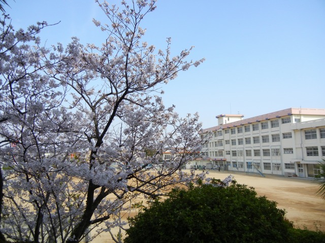 b0187505_13235047.jpg