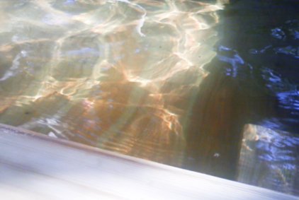 c0055305_2053077.jpg