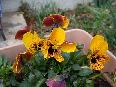 c0117007_222758.jpg