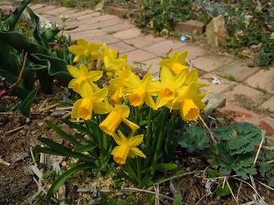 c0117007_22312673.jpg