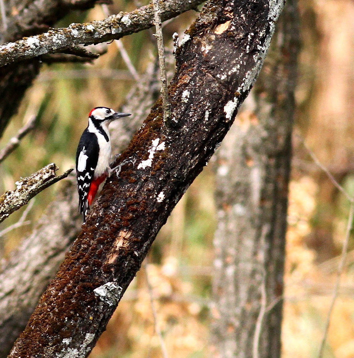 c0213607_18225190.jpg