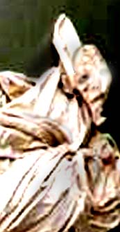 e0103408_1544887.jpg