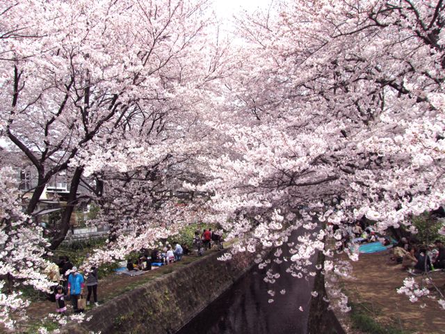 f0198909_2110742.jpg