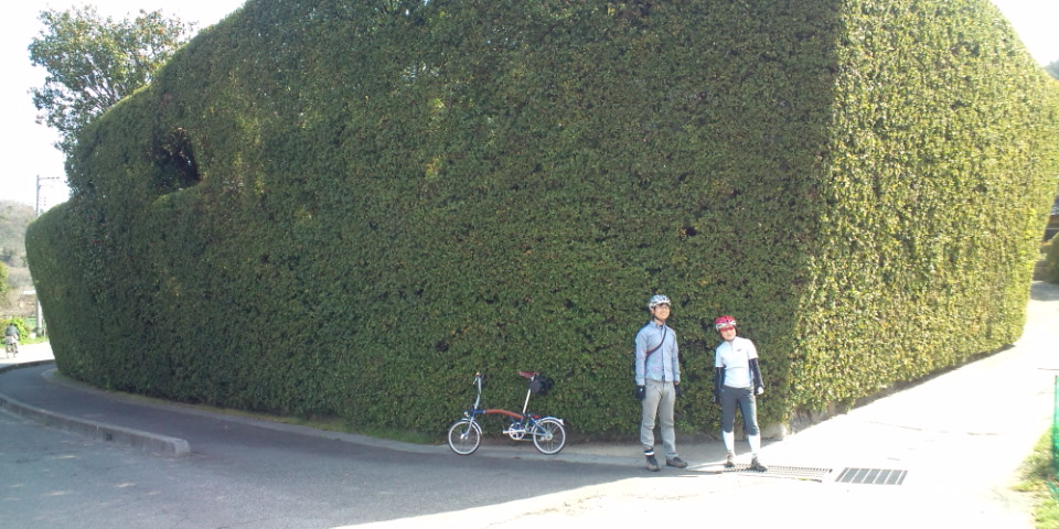 f0219810_11515348.jpg