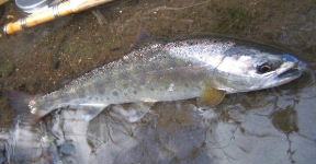 f0079411_22462939.jpg