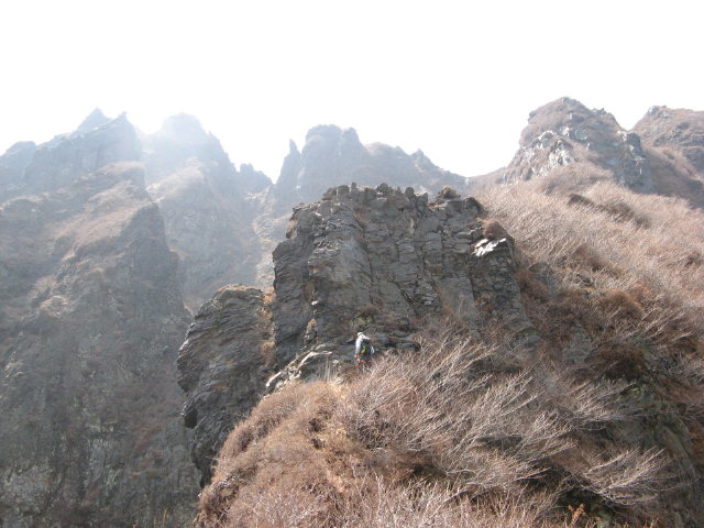 d0006512_21165190.jpg