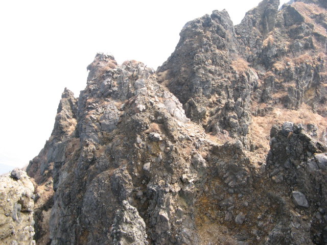 d0006512_21203398.jpg