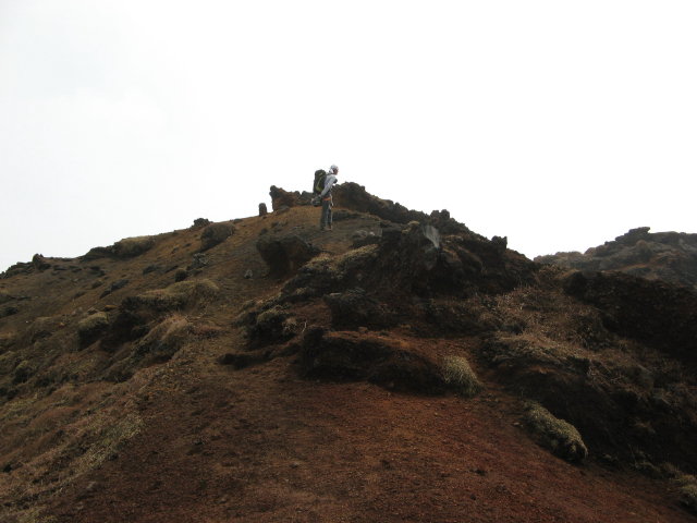 d0006512_21354667.jpg