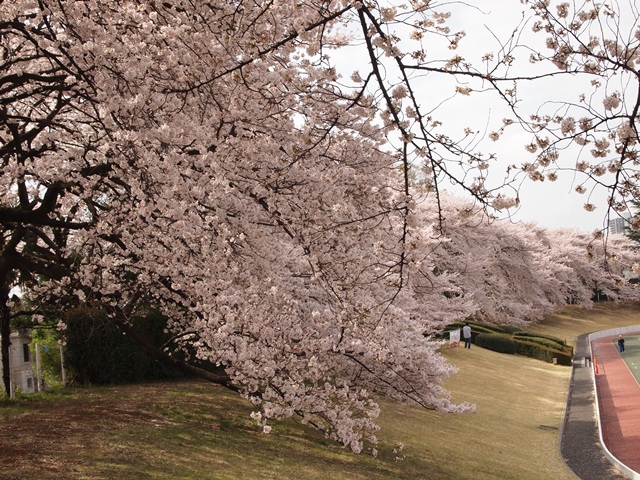 b0207615_20345657.jpg