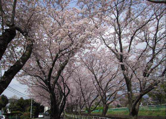 c0219815_19545940.jpg