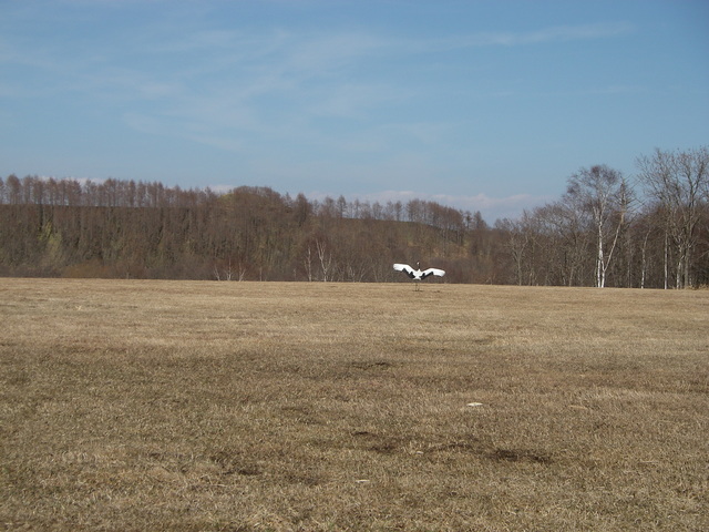 d0202215_8172937.jpg