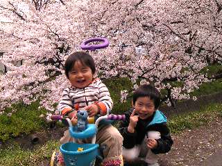 c0003217_1984137.jpg