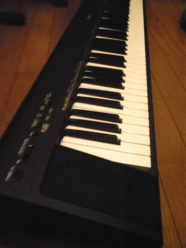 d0119217_021092.jpg