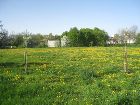 f0039021_6523250.jpg