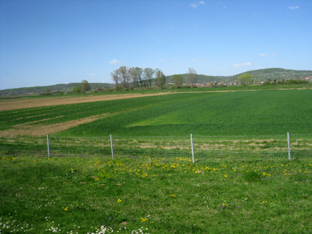 f0039021_652343.jpg