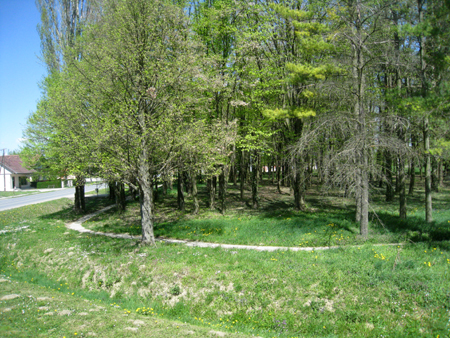 f0039021_76465.jpg