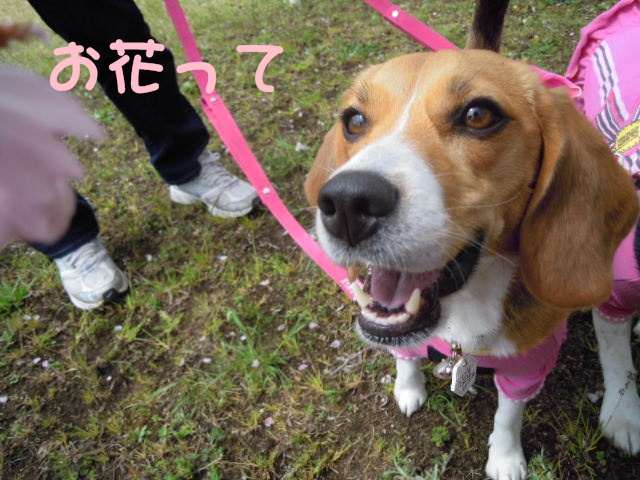 c0166622_10105611.jpg