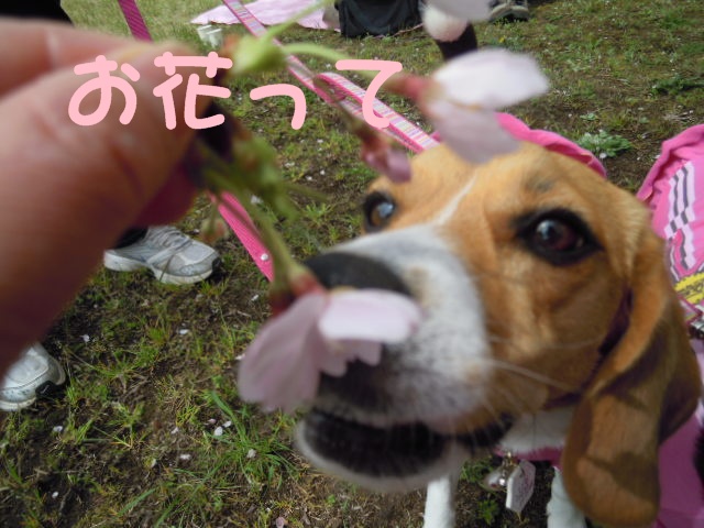 c0166622_1052262.jpg