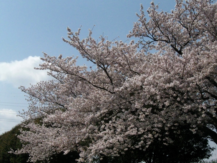 d0044222_222242100.jpg