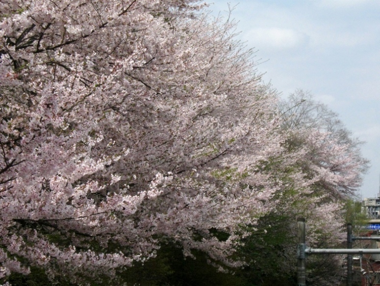 d0044222_9223557.jpg
