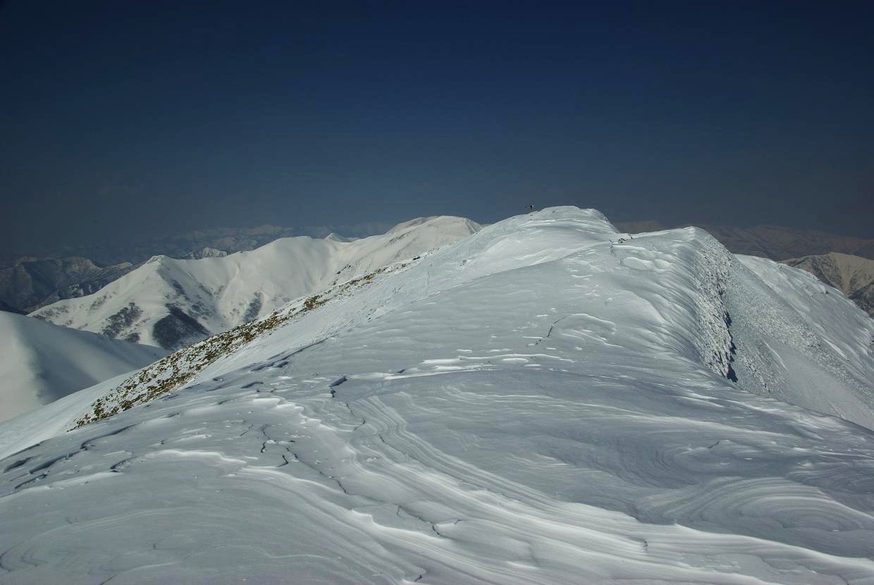 b0062024_713781.jpg