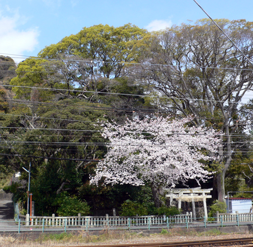 f0060424_1418214.jpg