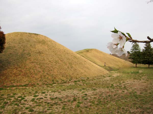 f0147025_813346.jpg