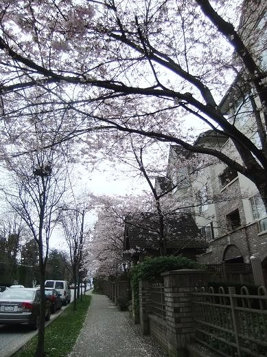 f0111926_14523747.jpg