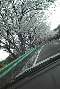 a0098027_15554214.jpg