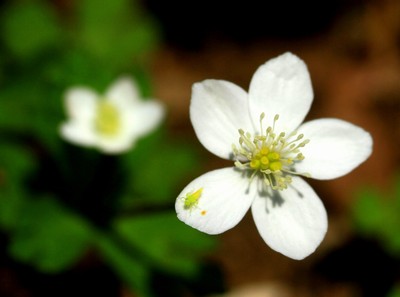 c0104227_05139.jpg