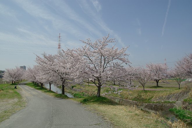 b0134829_1242538.jpg
