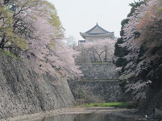 c0051529_2227045.jpg