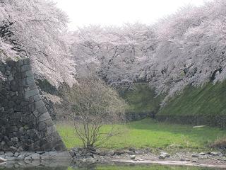 c0051529_2227288.jpg