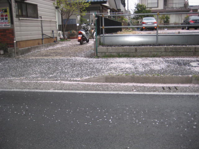 e0166032_238667.jpg