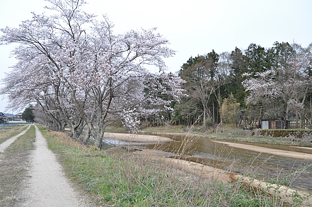 b0129533_1795988.jpg