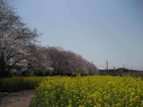 b0166435_21433896.jpg