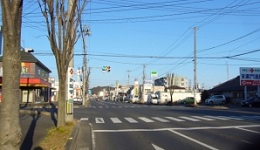 d0164636_1014194.jpg