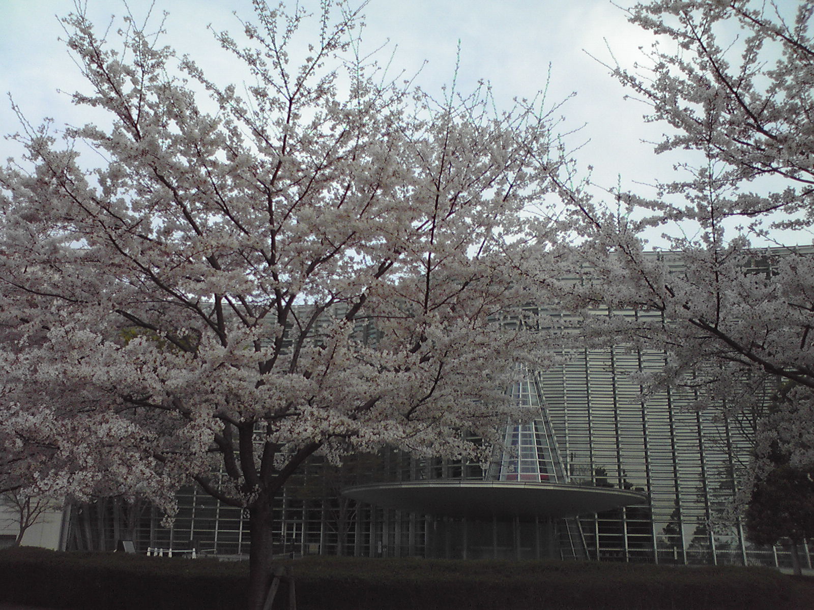 e0104937_2250788.jpg