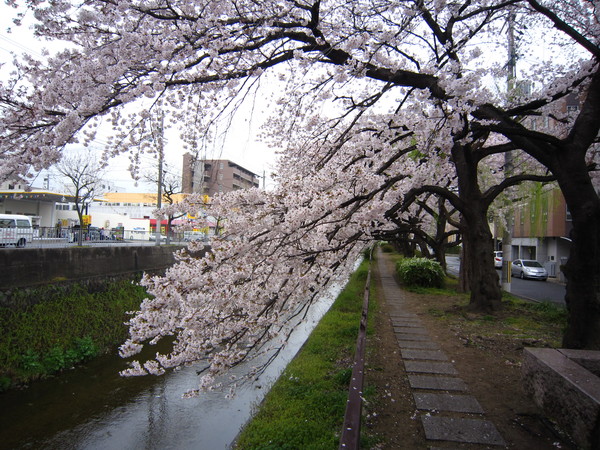 e0198839_13563293.jpg