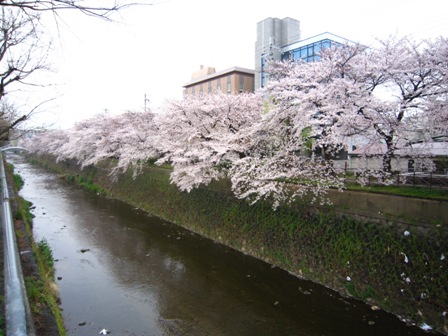 e0198839_14104889.jpg