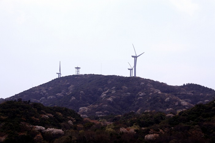 b0168041_2014974.jpg